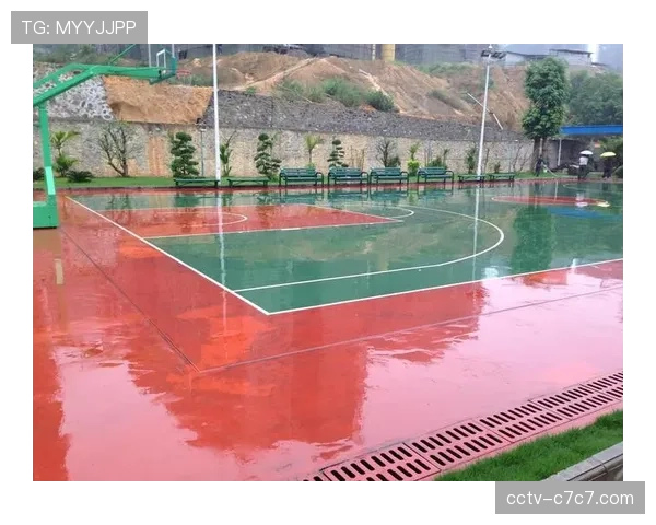 海南村村有球场传统延续,椰林海滩成天然排球训练场 海南村村有球场传统延续,椰林海滩成天然排球训练场